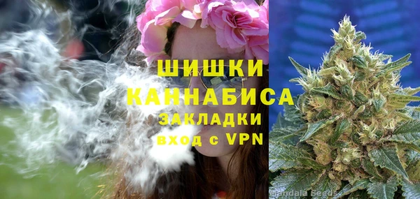 МДПВ Алексеевка