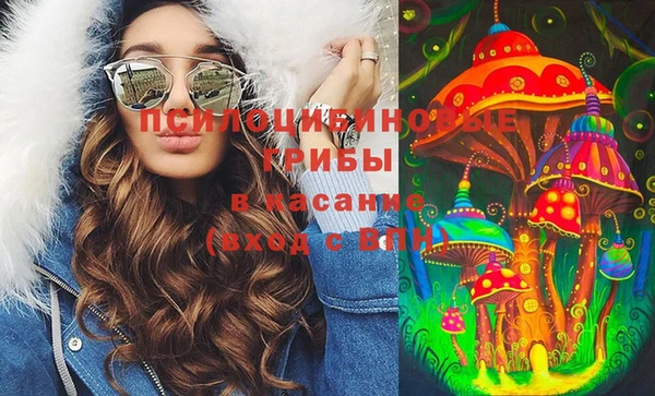 МДПВ Алексеевка