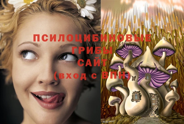 стафф Абинск