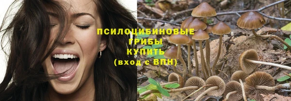 дмт Абаза